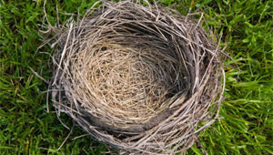 thema-na-behandelingen-leeg-nest.jpg
